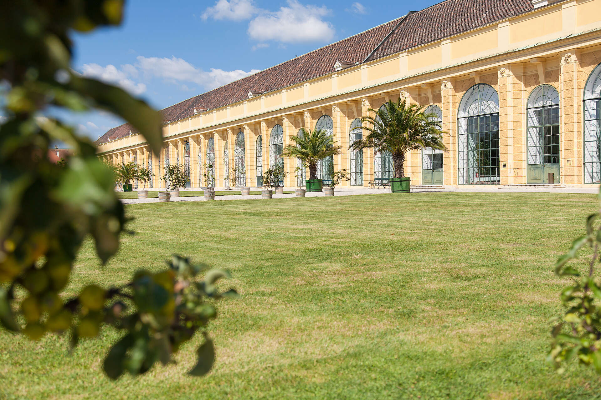 Wiese Orangerie Schloß Schönbrunn Kultur- u. Betriebsges.m.b.H. / Hannes Grundschober